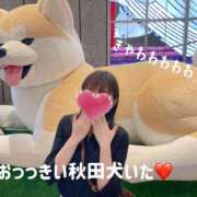 ヒメ日記 2025/10/08 14:44 投稿 ゆめ 脱がされたい人妻 越谷店