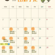 ヒメ日記 2026/03/03 10:17 投稿 ゆめ 脱がされたい人妻 越谷店