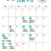 ゆめ 🌱今月の出勤予定🌱 脱がされたい人妻 越谷店