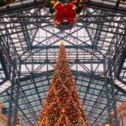 ヒメ日記 2025/12/05 19:30 投稿 こよみ 東京人妻セレブリティ（ユメオト）