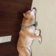 ヒメ日記 2025/01/21 14:53 投稿 まや 妻天 京橋店