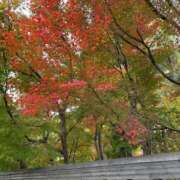 ヒメ日記 2025/11/21 14:48 投稿 まや 妻天 京橋店