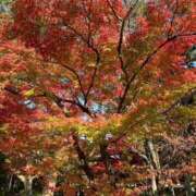 まや 30日のお礼です♪ 妻天 京橋店