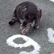 ヒメ日記 2026/03/27 15:04 投稿 まや 妻天 京橋店