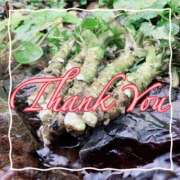 ヒメ日記 2025/10/30 13:07 投稿 月島　あきな 魅惑の官能アロマエステ　Eureka！八王子 ～エウレカ！～