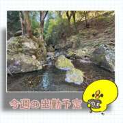 ヒメ日記 2025/11/10 00:44 投稿 月島　あきな 魅惑の官能アロマエステ　Eureka！八王子 ～エウレカ！～