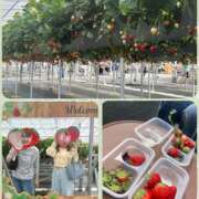 ヒメ日記 2025/05/04 15:47 投稿 ハマダ 千葉★出張マッサージ委員会Z