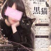 ヒメ日記 2026/09/21 08:13 投稿 西本ゆりえ 宇都宮回春性感クリニック