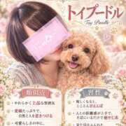 ヒメ日記 2026/10/12 12:00 投稿 西本ゆりえ 宇都宮回春性感クリニック