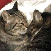 ヒメ日記 2025/01/06 16:05 投稿 ムギタ 神奈川★出張マッサージ委員会Z