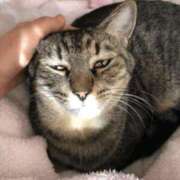 ヒメ日記 2025/01/23 15:10 投稿 ムギタ 神奈川★出張マッサージ委員会Z