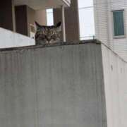 ヒメ日記 2025/04/10 14:45 投稿 ムギタ 神奈川★出張マッサージ委員会Z