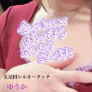 ヒメ日記 2025/02/20 23:39 投稿 ゆうか 乳首愛撫専門店「五反田シルキータッチ」