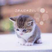 ヒメ日記 2025/03/19 15:06 投稿 美衣子(みいこ) 立川人妻研究会