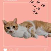 ヒメ日記 2025/05/13 16:58 投稿 うめ キスMy