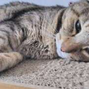 うめ 💪🏻 キスMy