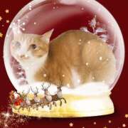 ヒメ日記 2025/11/25 21:11 投稿 うめ キスMy