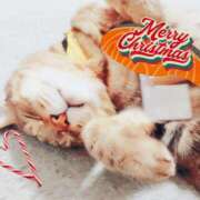 ヒメ日記 2025/12/25 21:42 投稿 うめ キスMy