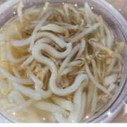 ヒメ日記 2025/02/16 08:11 投稿 優香-ゆうか 熟女10000円デリヘル横浜