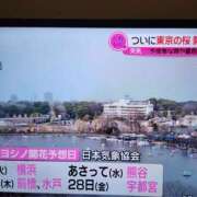 ヒメ日記 2025/03/24 16:21 投稿 優香-ゆうか 熟女10000円デリヘル横浜