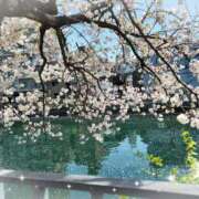 ヒメ日記 2025/04/09 14:04 投稿 優香-ゆうか 熟女10000円デリヘル横浜