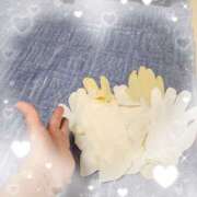 ヒメ日記 2025/07/05 06:44 投稿 優香-ゆうか 熟女10000円デリヘル横浜