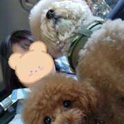 ヒメ日記 2026/01/01 09:50 投稿 優香-ゆうか 熟女10000円デリヘル横浜