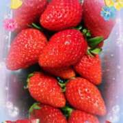 ヒメ日記 2026/02/08 01:23 投稿 優香-ゆうか 熟女10000円デリヘル横浜