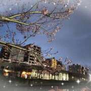 ヒメ日記 2026/03/18 18:51 投稿 優香-ゆうか 熟女10000円デリヘル横浜