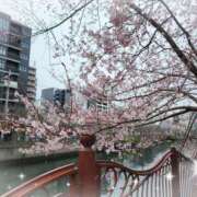 ヒメ日記 2026/03/23 10:06 投稿 優香-ゆうか 熟女10000円デリヘル横浜