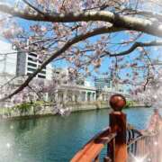 ヒメ日記 2026/03/24 11:35 投稿 優香-ゆうか 熟女10000円デリヘル横浜