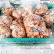 ヒメ日記 2026/03/25 07:05 投稿 優香-ゆうか 熟女10000円デリヘル横浜