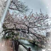 ヒメ日記 2026/03/31 09:32 投稿 優香-ゆうか 熟女10000円デリヘル横浜