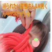 ヒメ日記 2026/07/27 03:39 投稿 優香-ゆうか 熟女10000円デリヘル横浜