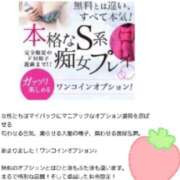 ヒメ日記 2026/08/15 21:56 投稿 優香-ゆうか 熟女10000円デリヘル横浜
