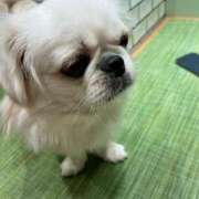 ヒメ日記 2025/10/11 15:15 投稿 りお 無我（むが）