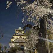 ヒメ日記 2026/04/02 23:10 投稿 ゆみ 梅田人妻秘密倶楽部