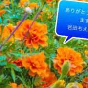 ヒメ日記 2023/08/02 17:31 投稿 岩田 ちえみ 30代40代50代と遊ぶなら博多人妻専科24時