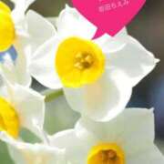 ヒメ日記 2025/01/18 18:45 投稿 岩田 ちえみ 30代40代50代と遊ぶなら博多人妻専科24時