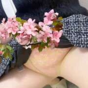 ヒメ日記 2025/03/22 10:42 投稿 岩田 ちえみ 30代40代50代と遊ぶなら博多人妻専科24時