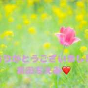 ヒメ日記 2025/04/19 19:30 投稿 岩田 ちえみ 30代40代50代と遊ぶなら博多人妻専科24時