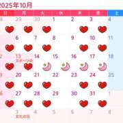 ヒメ日記 2025/09/20 14:19 投稿 Chiaki　Arima ELEGANT－エレガント－