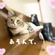 ヒメ日記 2025/12/23 00:17 投稿 Chiaki　Arima ELEGANT－エレガント－