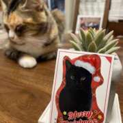 ヒメ日記 2025/12/24 01:27 投稿 Chiaki　Arima ELEGANT－エレガント－