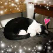 ヒメ日記 2026/01/01 07:58 投稿 Chiaki　Arima ELEGANT－エレガント－