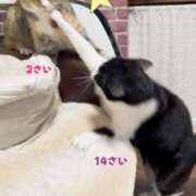 ヒメ日記 2026/01/04 21:36 投稿 Chiaki　Arima ELEGANT－エレガント－