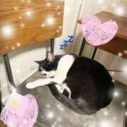 ヒメ日記 2026/01/05 23:53 投稿 Chiaki　Arima ELEGANT－エレガント－