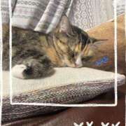 ヒメ日記 2026/01/06 19:05 投稿 Chiaki　Arima ELEGANT－エレガント－