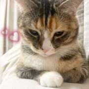 ヒメ日記 2026/01/11 22:13 投稿 Chiaki　Arima ELEGANT－エレガント－