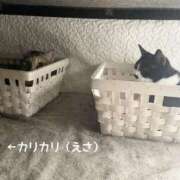 ヒメ日記 2026/02/03 01:10 投稿 Chiaki　Arima ELEGANT－エレガント－